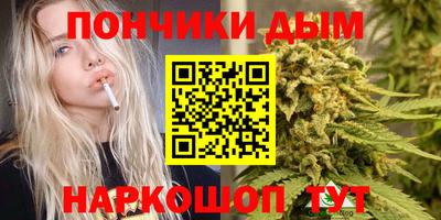 стаф Будённовск
