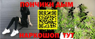 стаф Будённовск
