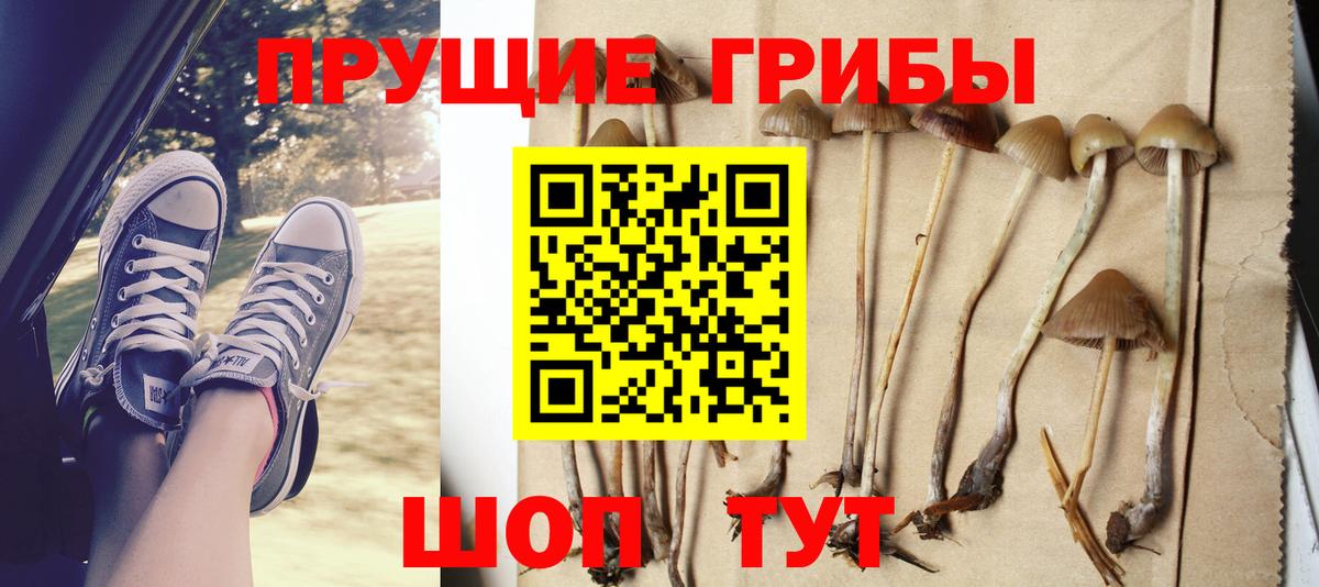 Псилоцибиновые грибы GOLDEN TEACHER Северодвинск